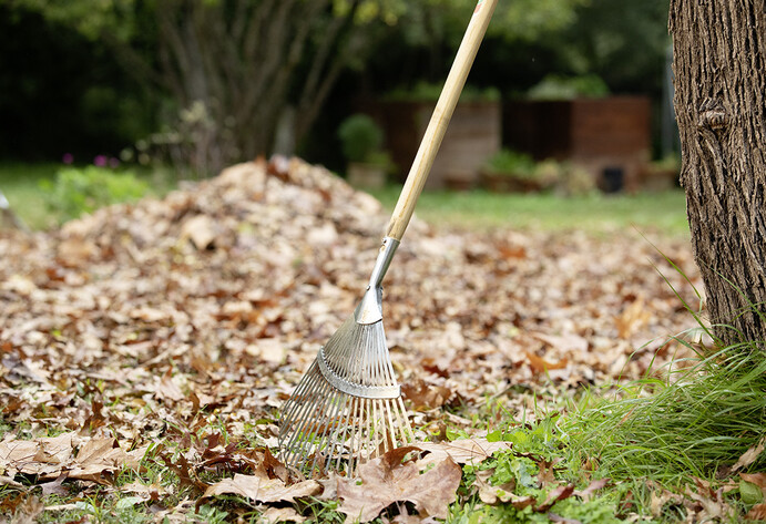 Herbstlaub mit Rechen