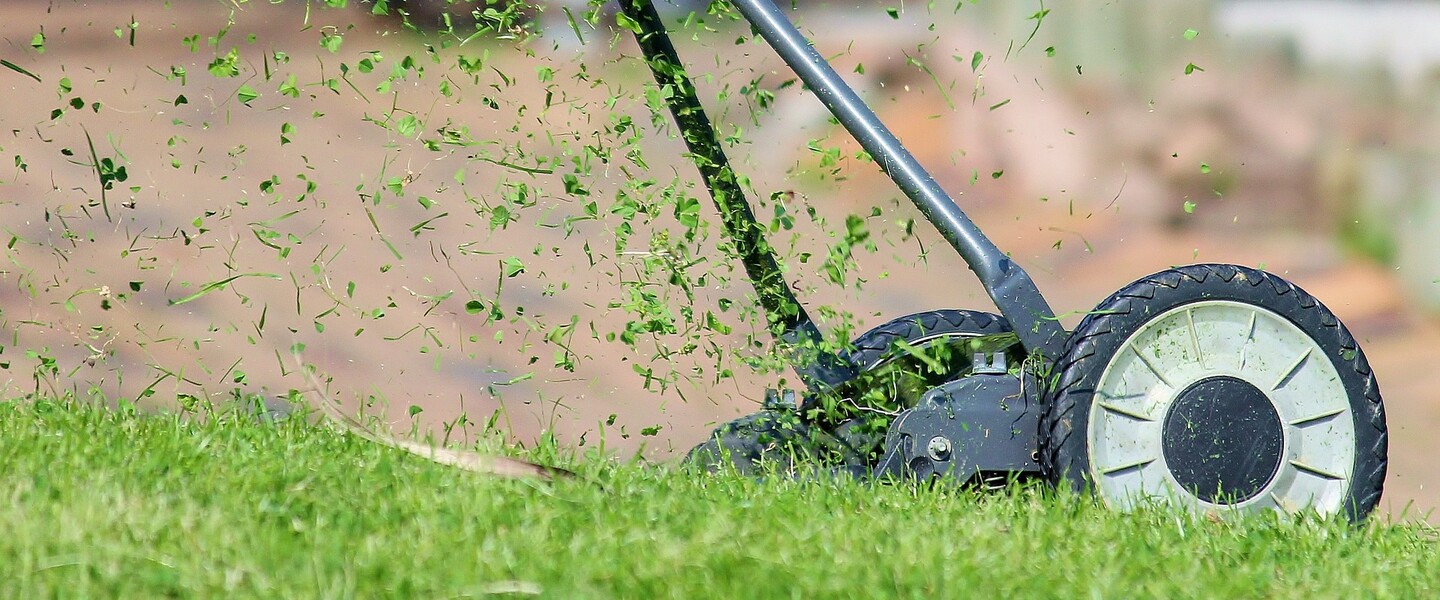 Finde den besten Rasenm&auml;her f&uuml;r Deinen Garten