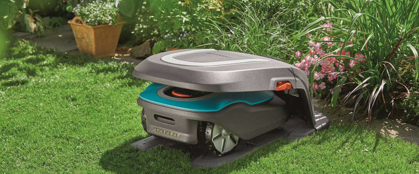 Mähroboter im Garten