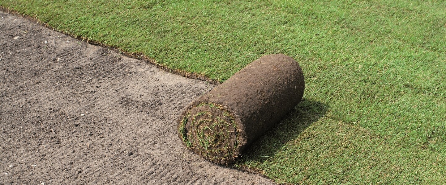Anleitung zum Rollrasen verlegen