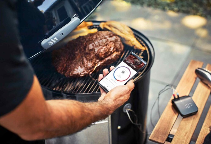 Smartes Grill-Thermometer