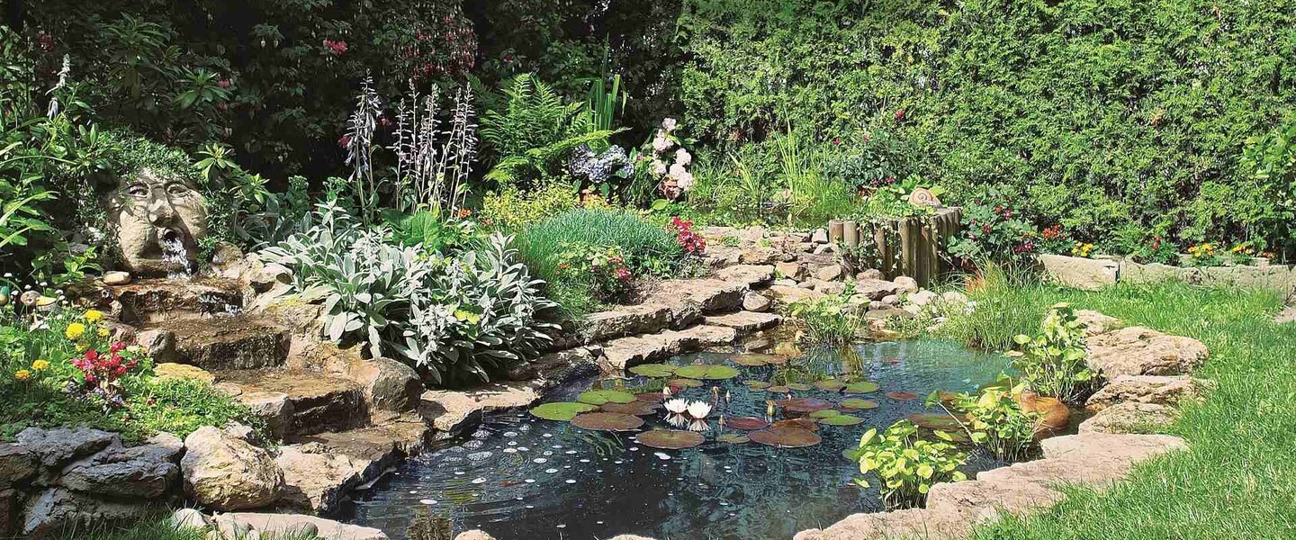 Gartenteich anlegen und pflegen