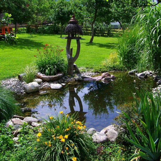 Gartenteich richtig anlegen