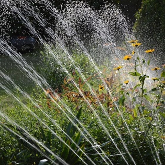 Rasensprenger bewässert Pflanzen im Garten