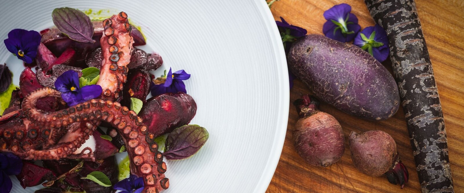 Alles Lila: Lauwarmer Pulpo-Salat vom Grill | richtiggut.de