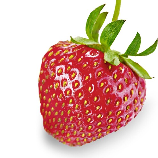 Einzelne Erdbeere