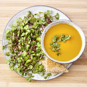 Teller mit Sprossen und Suppe