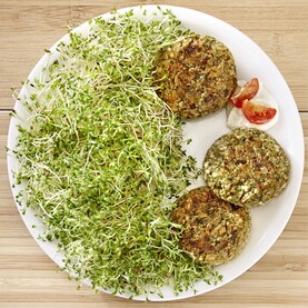 Sperli Sprossen Alfalfa