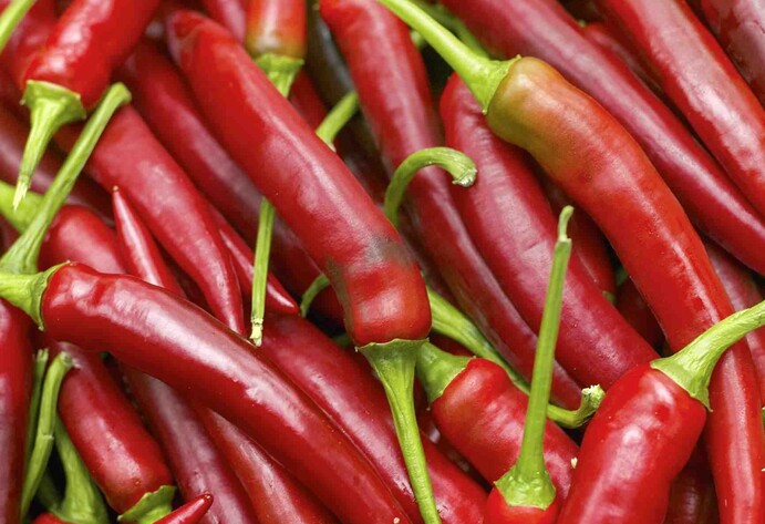 Jumbo-Peperoni 'Amboy' F1