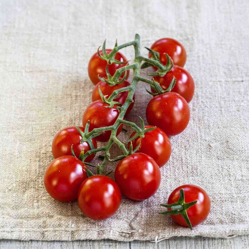 Nektar Cherrytomate 'Solena® Sweet' rot