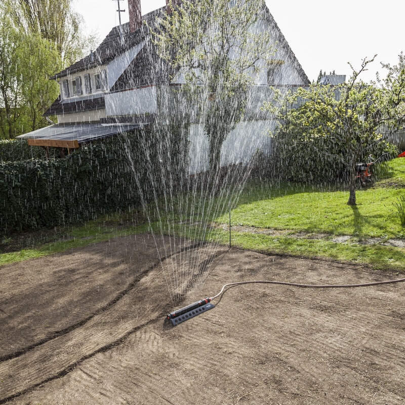 Blumenwiese anlegen: Mit Rasensprenger wässern
