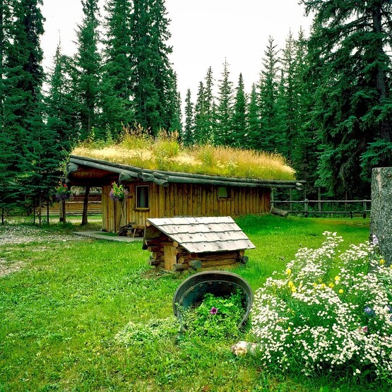 Begrüntes Haus mit Garten