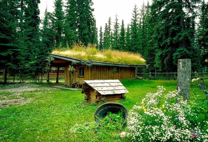 Begrüntes Haus mit Garten