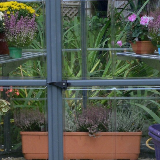 Blumenkasten im Fenster