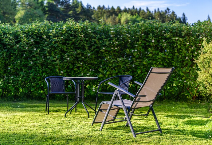 Garten mit Sichtschutzhecke