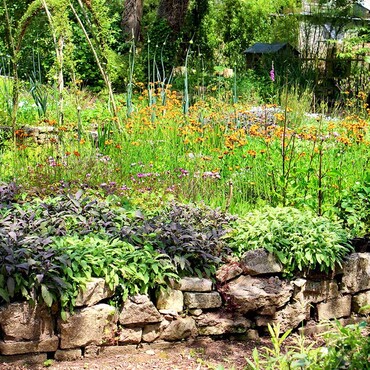 Blühendes wildes Gartenbeet mit Steinmauer
