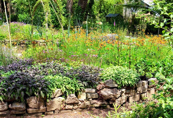 Blühendes wildes Gartenbeet mit Steinmauer