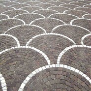Schuppenmuster