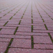 Flechtverband