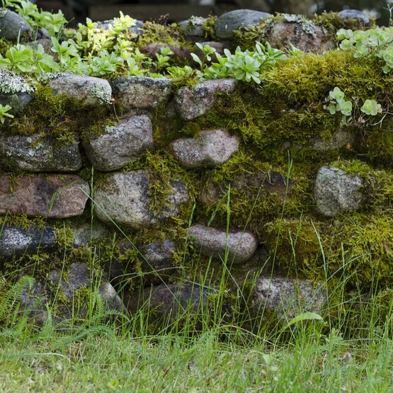 Steinmauer