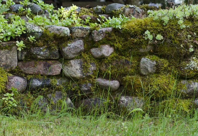 Steinmauer
