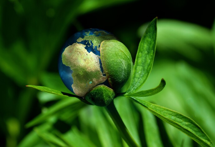 Erde als Blüte