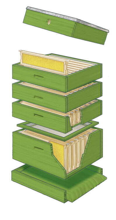 Bienenstock Aufbau