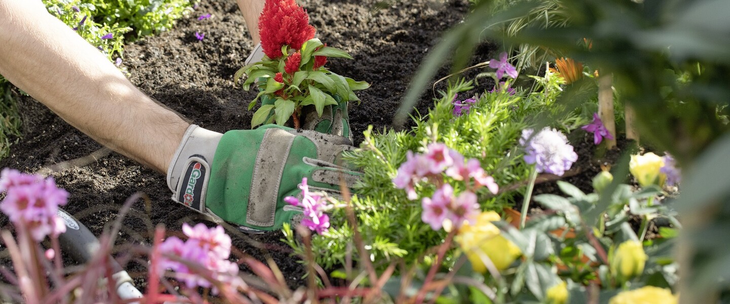 Beet und Balkon: Arbeit im Garten