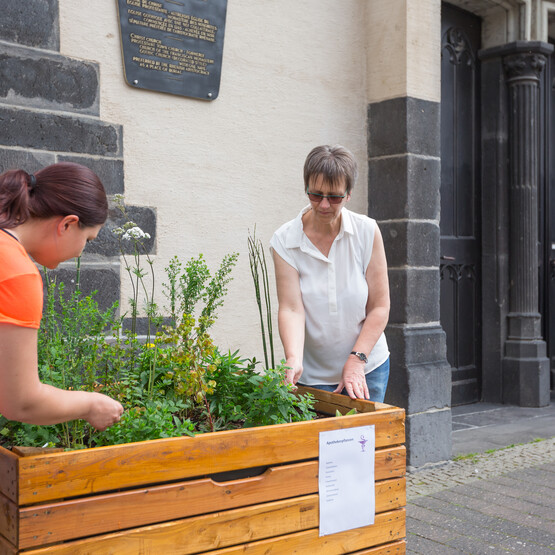 In Andernach stehen Hochbeete mit Gemüse in der Stadt