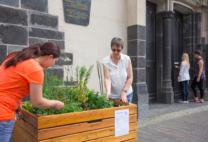 In Andernach stehen Hochbeete mit Gemüse in der Stadt