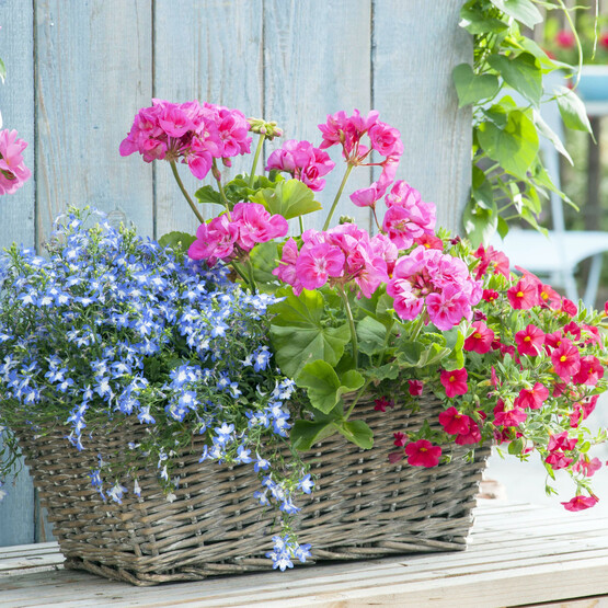 Weidekorb mit bunten Blumen