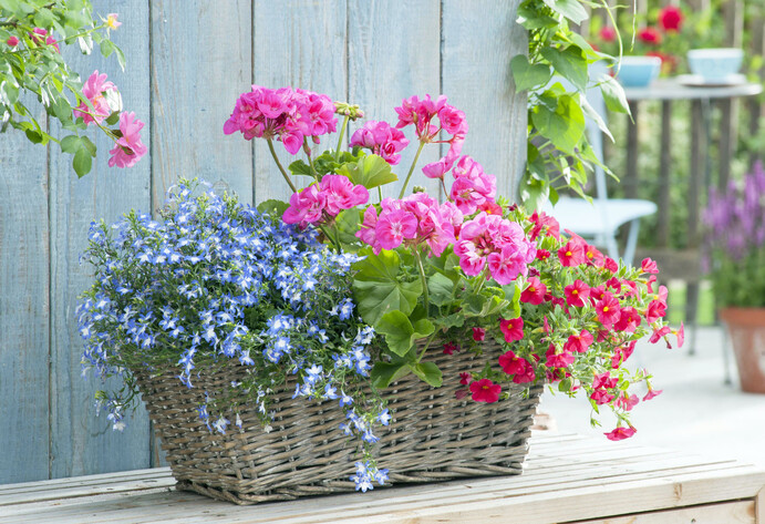 Weidekorb mit bunten Blumen