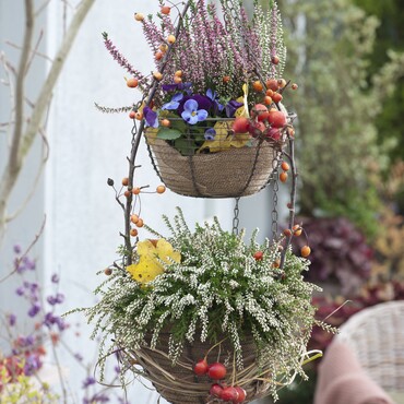Blumenampel mit Besenheide