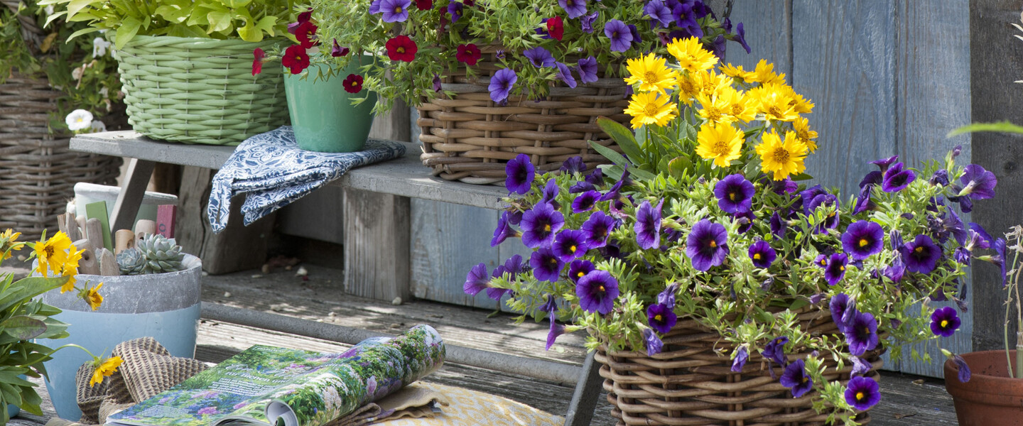 Bunte Blumenkübel auf einer Holztreppe