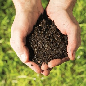 Person hält humosen Lehm-Sand-Boden in den Händen