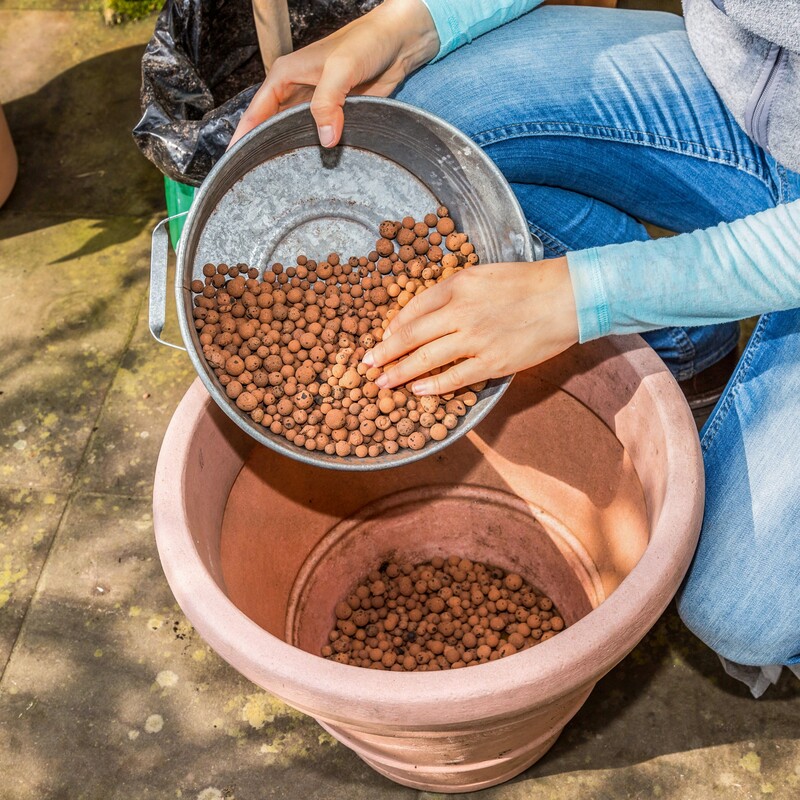 Kübelpflanzen umtopfen Schritt 2: Drainageschicht einfüllen