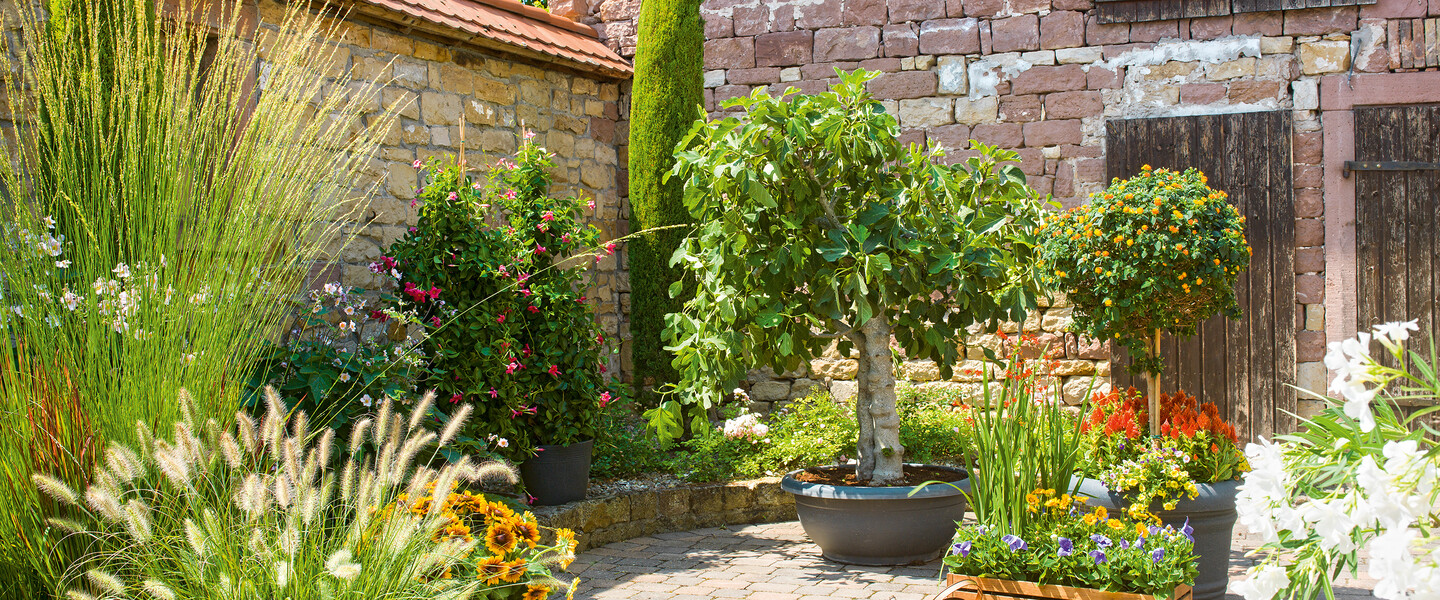 Mediterraner Innenhof