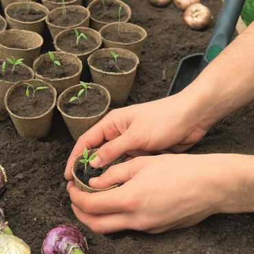 Gartenpflege im Januar