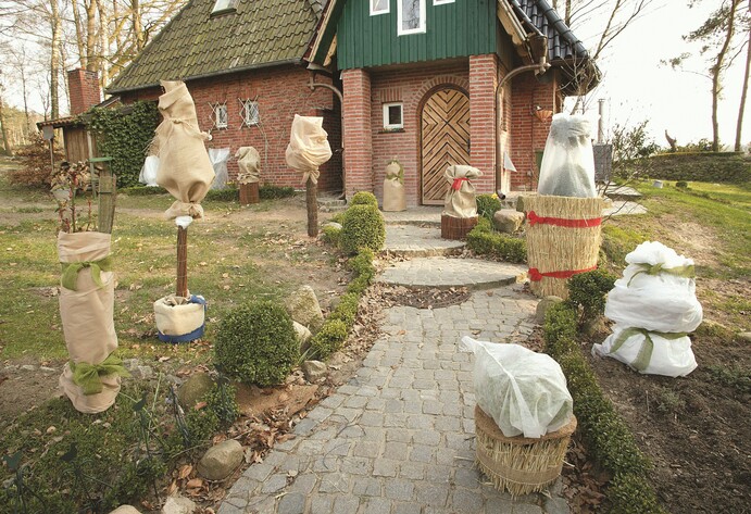 Gartenpflege im November