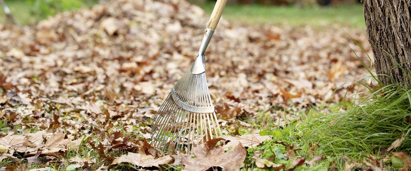 Herbstlaub zusammenfegen