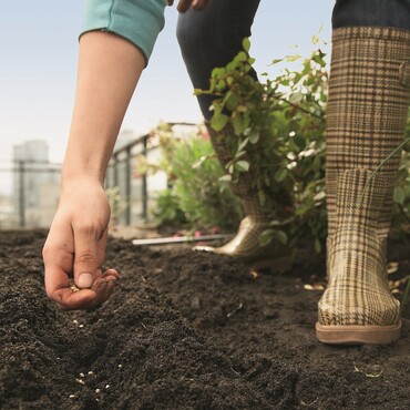 Gartenpflege im Februar