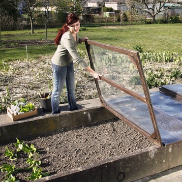 Frühbeet im Gemüsegarten mit Salat