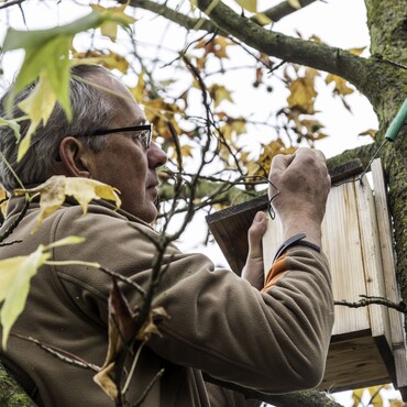 Nistkasten aufhängen