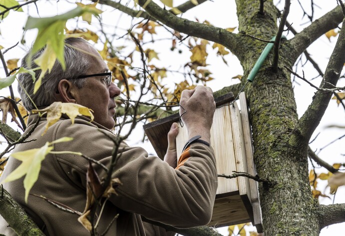 Nistkasten aufhängen