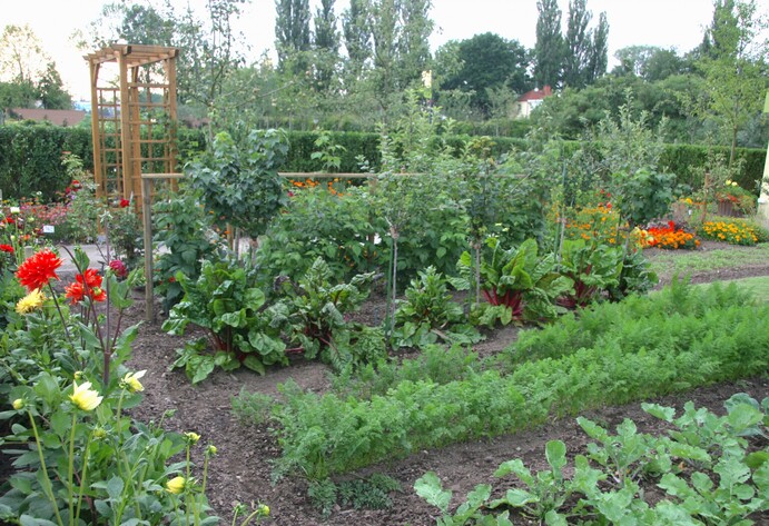 Gemüsegarten im Sommer