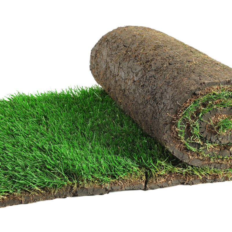 Rollrasen im Garten