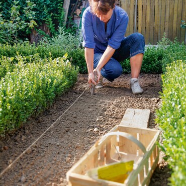 Gemüsesamen säen im Garten