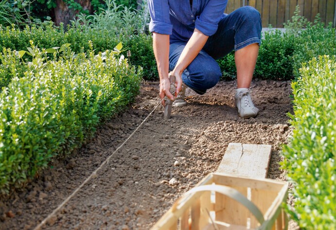 Gemüsesamen säen im Garten