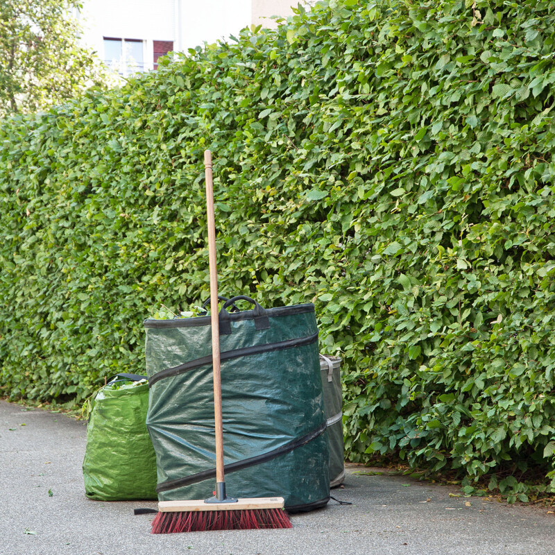 Frisch geschnittene Hecke