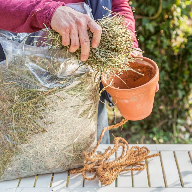 Haus für Ohrenkneifer bauen Schritt 2: Topf füllen